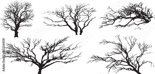 Collection of ten diverse gray stippled trees with varied canopy shapes and trunk Collection of ten diverse hand drawn trees in grey tones with varied textures 