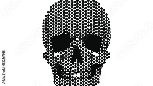 Intricate geometric skull pattern on white background, representing mortality and art