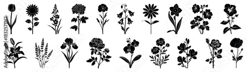 Flowers silhouette collection: Rose Tulip Daffodil Sunflower Daisy Lily Orchid Peony Hibiscus Marigold Violet Poppy Iris Chrysanthemum Carnation Lavender Bluebell Geranium Magnolia Snapdragon