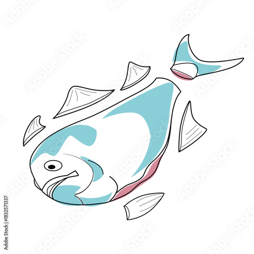 cleaning fish fins vector illustration. steps to clean fish vector graphic design