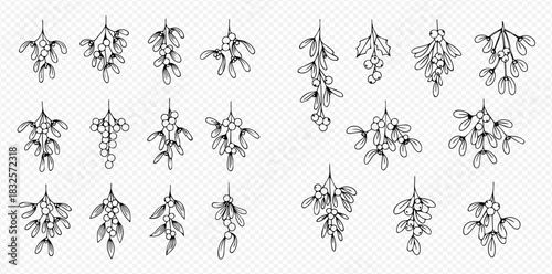 Set of Hand Drawn Mistletoe Branches with Berries and Leaves for Christmas Decoration.