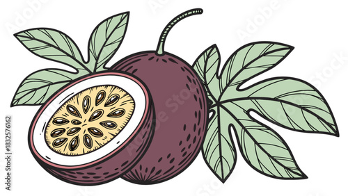 Passion fruit illustration with a whole and a half fruit displaying juicy pulp and seeds, accompanied by green leaves, vibrant hand-drawn vector art, perfect for fresh tropical food designs.
