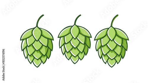 Green hop cones vector illustration. three stylized humulus lupulus inflorescence, essential ingredient for beer brewing, perfect for craft beverage designs, isolated.