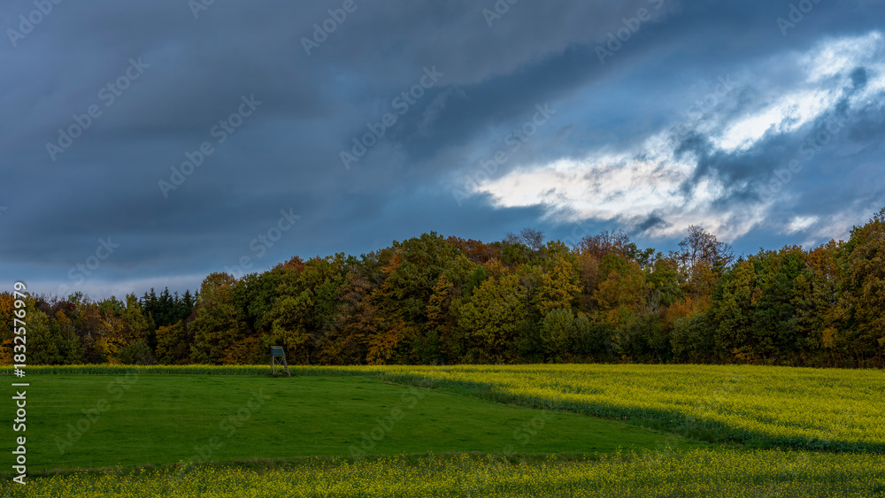 Fototapeta premium herbstliche Landschaft mit bewölktem Himmel