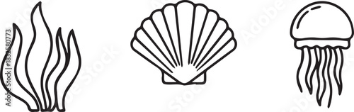 Outline Icons of Seaweed Seashell and Jellyfish Keywords: seaweed, seashell, jellyfish, marine