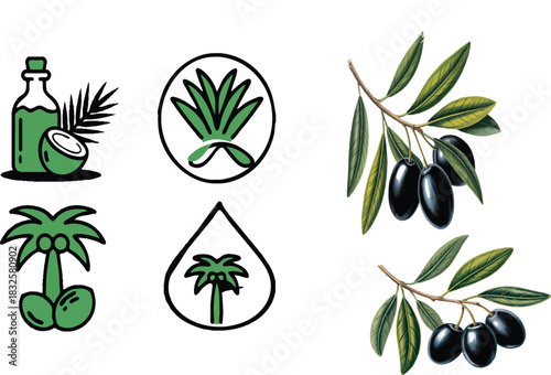 Coconut oil bottle palm tree icons and olive branches with olives black olives green leaves