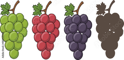Three bunches of grapes green red purple and brown silhouette fruit green grapes