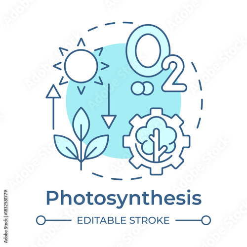 Photosynthesis soft blue concept icon. Oxygen production. Ecosystem care, ecology preservation. Round shape line illustration. Abstract idea. Graphic design. Easy to use in article, brochure