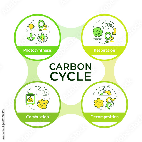 Carbon dioxide recycling cycle infographic circles flowchart. Atmosphere pollution. Visualization diagram with 4 steps. Circular info graphic editable. Montserrat SemiBold font used