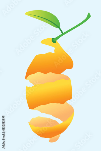 orange peel with stem and leaves vector graphic design. orange peel with stem and leaves vector illustration