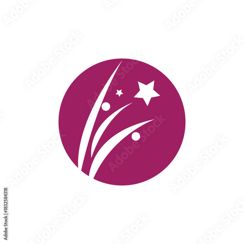 Firework star logo vector and symbol design