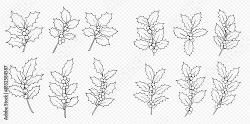 Set of hand-drawn outline holly branches with leaves and berries, perfect for Christmas and winter holiday designs, isolated on a transparent background.