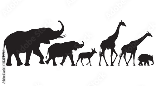 African wild animals silhouettes, safari fauna walking together on white Vector