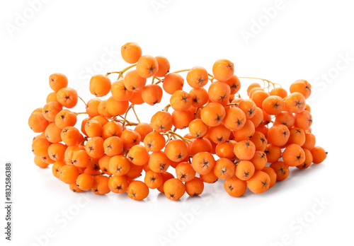 Bright orange rowan berries...