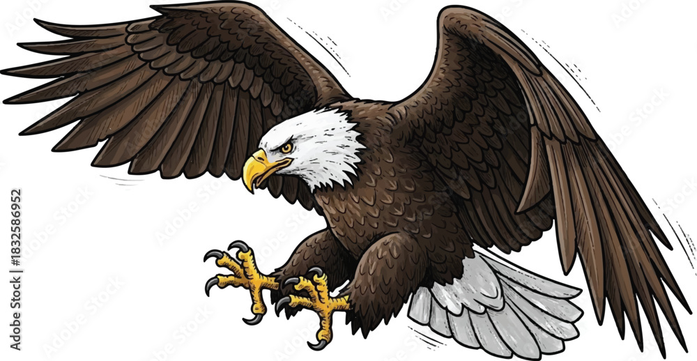 Obraz premium Adobe Illustrator Artwork