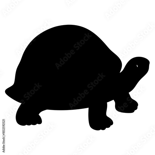 Black silhouette of a turtle slowly walking across a white background