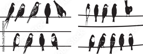 Diverse birds perched on wires, a charming illustration of nature's simple beauty.