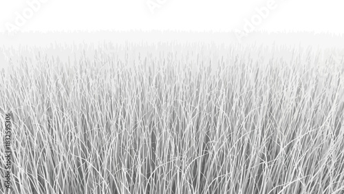 Abstract monochromatic image of tall grass, creating a textured background and artistic design