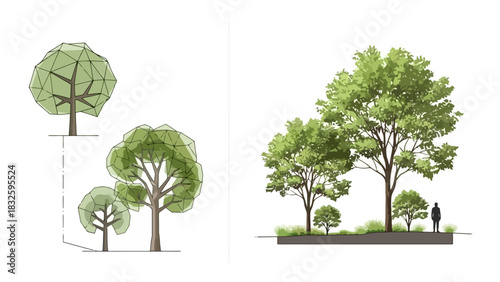 Tree Planting and Landscape Illustration A Guide to Urban Greening and Tree Grouping