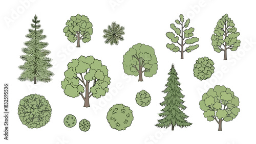 Collection of various types of trees and bushes, depicted in a simple, illustrative style