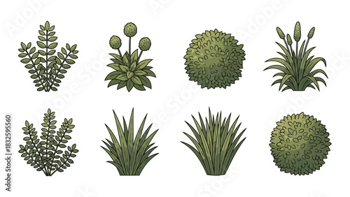 Garden Delights Assorted Green Plant Vector Illustration Set for Graphic Design Projects