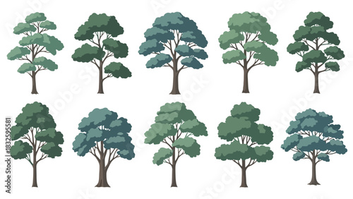 Collection of stylized deciduous trees with varied leaf shapes and canopy density, presented in a graphic illustration
