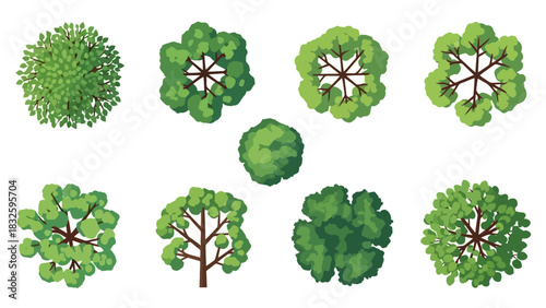 Overhead View Tree Collection Various Tree Top Designs for Architectural Illustrations