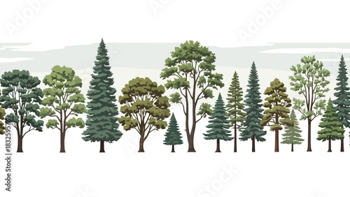 A seamless pattern of diverse coniferous and deciduous trees, evoking a serene forest landscape