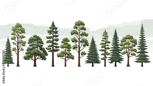 Array of Diverse Trees A Collection of Various Coniferous and Deciduous Tree Species