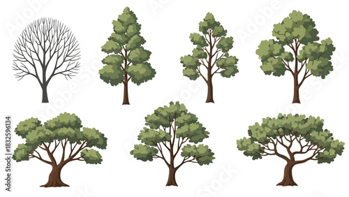 Diverse Collection of Illustrated Trees Representing Various Species and Seasonal States for Nature, Botanical, and Environmental Design Projects