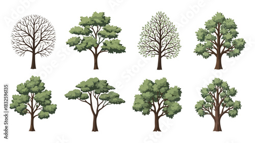Set of diverse trees vector illustrations depicting various species, from deciduous to evergreen, perfect for landscape and environmental designs