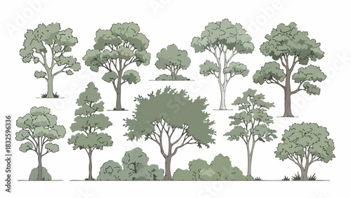 Various tree illustrations for design decorative elements for nature and landscape projects