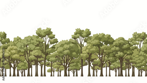 Seamless horizontal border of a dense summer forest with lush green deciduous trees on a white background