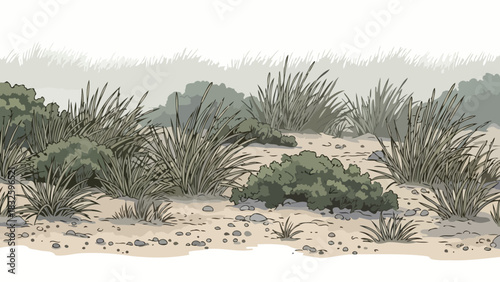 Illustrated Arid Landscape with Sparse Desert Vegetation, Grassy Tufts, and Rocky Ground, Depicting a Dry Natural Environment