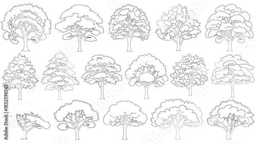 A comprehensive collection of diverse tree outline vector illustrations, perfect for environmental, nature, and graphic design projects requiring botanical elements