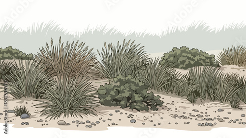 Desert Landscape Illustration with Bushes and Grasses Depicting Natural Environment