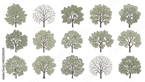 Collection of Various Artistic Tree Illustrations in Different Styles and Seasons