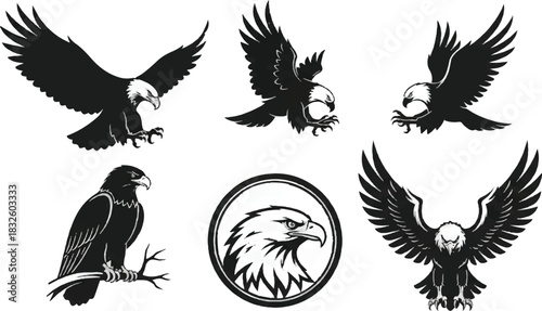 Adobe Illustrator Artwork