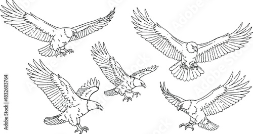 Adobe Illustrator Artwork