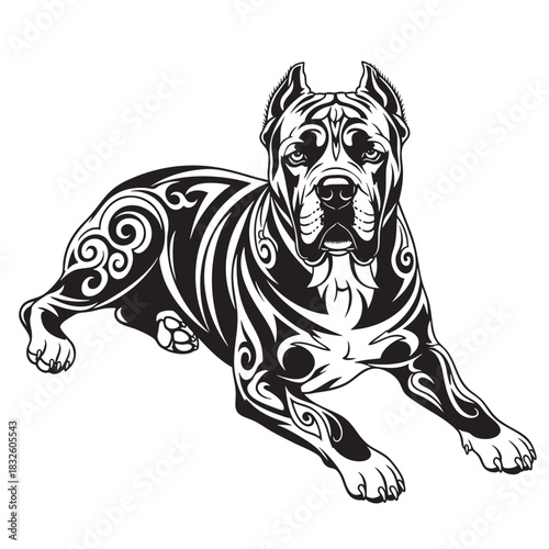 Clean white background for presentations and graphic design work perfectly seamless