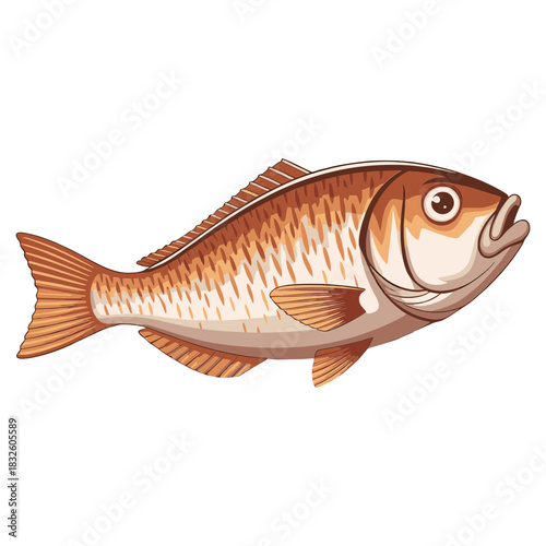 Illustration of a Carp Fish with Detailed Scales and Fins.