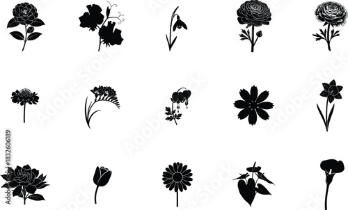Collection of black flower silhouettes on white background vector