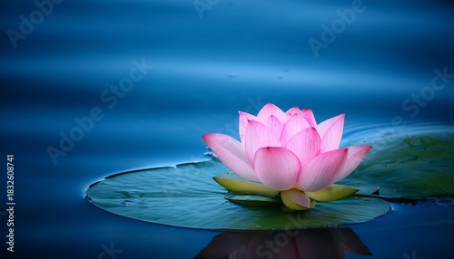 Pink Lotus Flower Floating on Water Serene Spa and Wellness Image