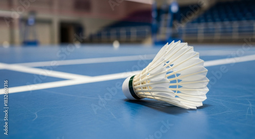 Game Time: Badminton Racket and Shuttle