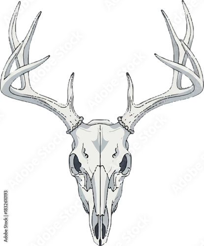 Adobe Illustrator Artwork