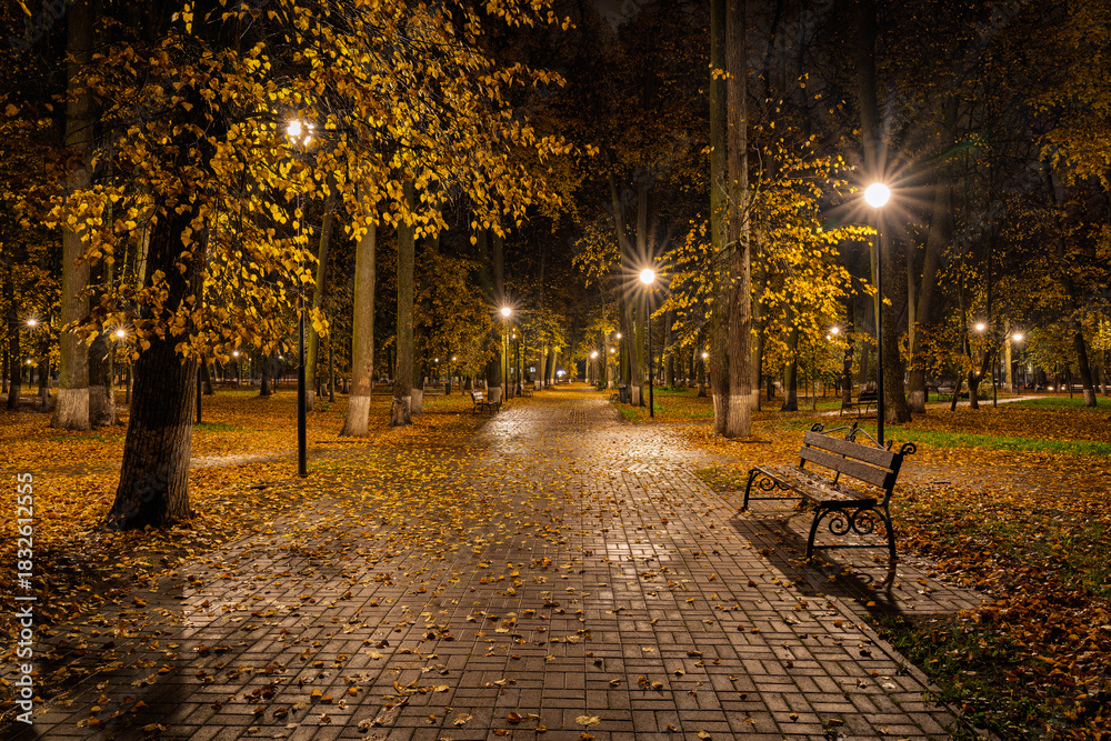 Fototapeta premium Paved pathway illuminated by streetlights in autumn park at dusk, surrounded by trees with colorful fallen leaves. Serene evening outdoor scene for calm mood.