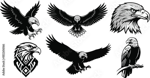 Adobe Illustrator Artwork