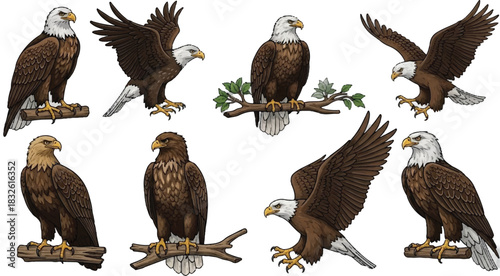 Adobe Illustrator Artwork