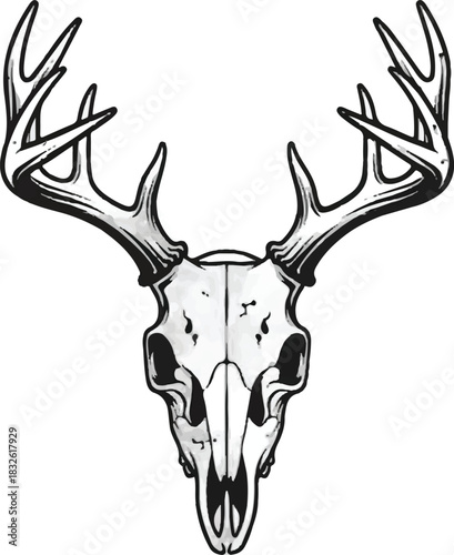 Adobe Illustrator Artwork