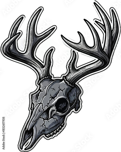 Adobe Illustrator Artwork